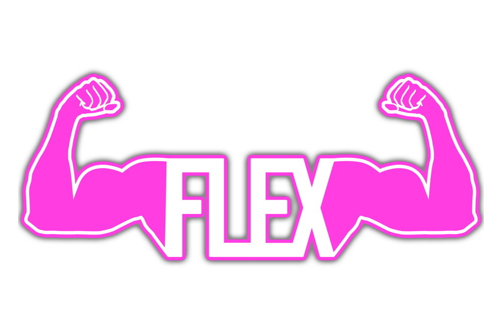 FLEX Update