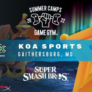 Kao Sports Super Smash Bros Camp